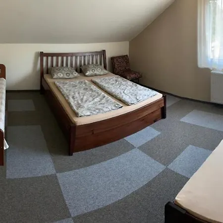 Akos Haz فيلة شيوفوك